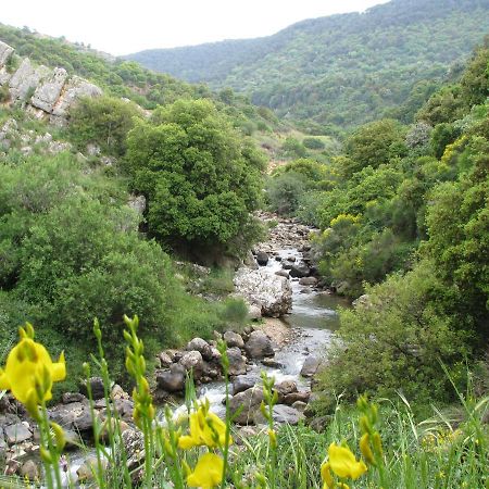 Tourism In The Village Ein Kinya Exterior photo