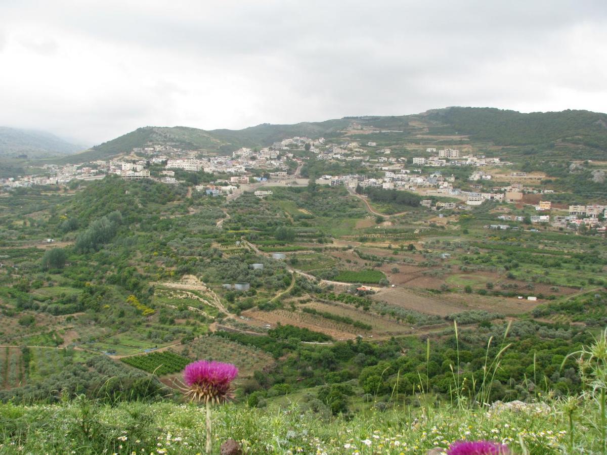 Tourism In The Village Ein Kinya Exterior photo