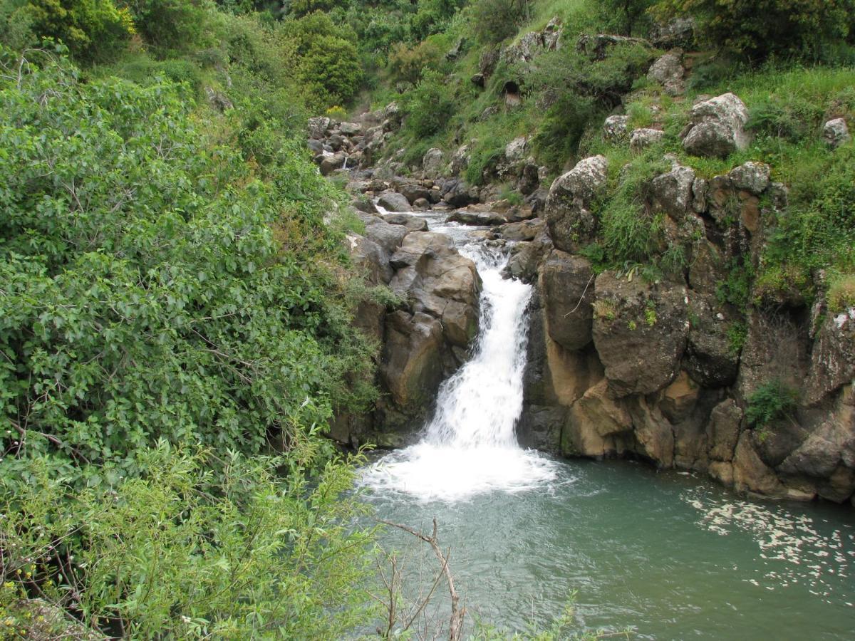 Tourism In The Village Ein Kinya Exterior photo
